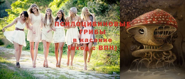 альфа пвп Бородино