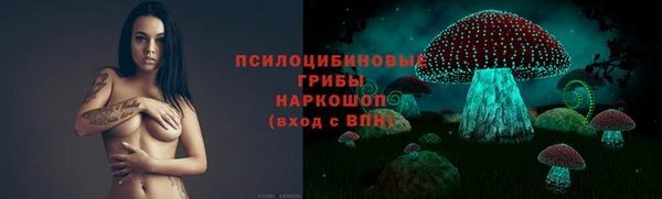 дживик Семилуки