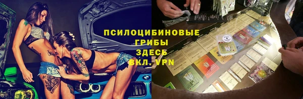 альфа пвп Бородино