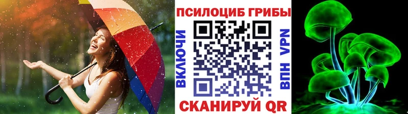Псилоцибиновые грибы ЛСД  купить   Павловск 